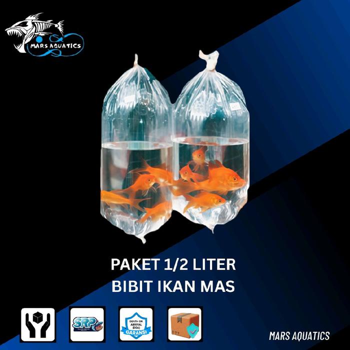 Gambar BIBIT IKAN MAS 1/2 LITER PAKAN IKAN PREDATOR MAKANAN IKAN SIZE KECIL 1/2 LITER (OJOL ONLY) dari Mars Aquatics undefined Tokopedia