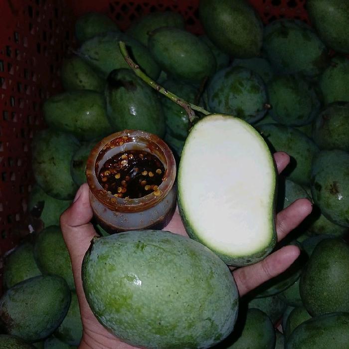 Gambar 1Kg Mangga mentah untuk rujak - Mangga mardi mengkal dari niarshoop14 undefined 5 Tokopedia