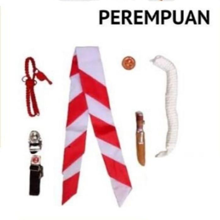 Gambar 1 Set Perlengkapan Atribut Pramuka Penggalang SD Putri Fashion - Atribut Putri dari MITRA UNIFORM undefined Tokopedia