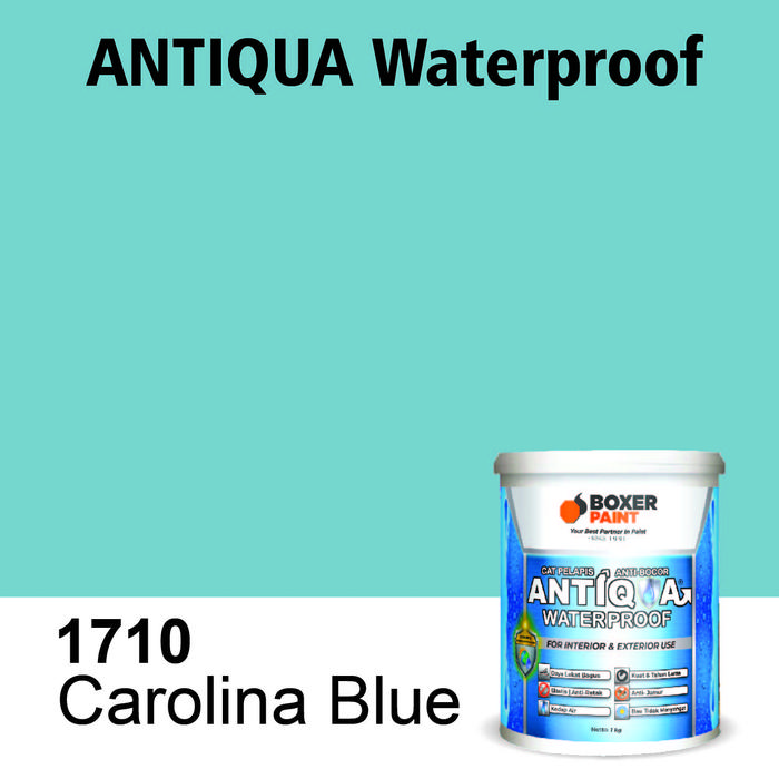 Gambar (20 KG) Cat Anti Bocor Anti Lembab ANTIQUA Waterproof - 1710 Carol Blue dari Boxer Paint Official Store undefined Tokopedia