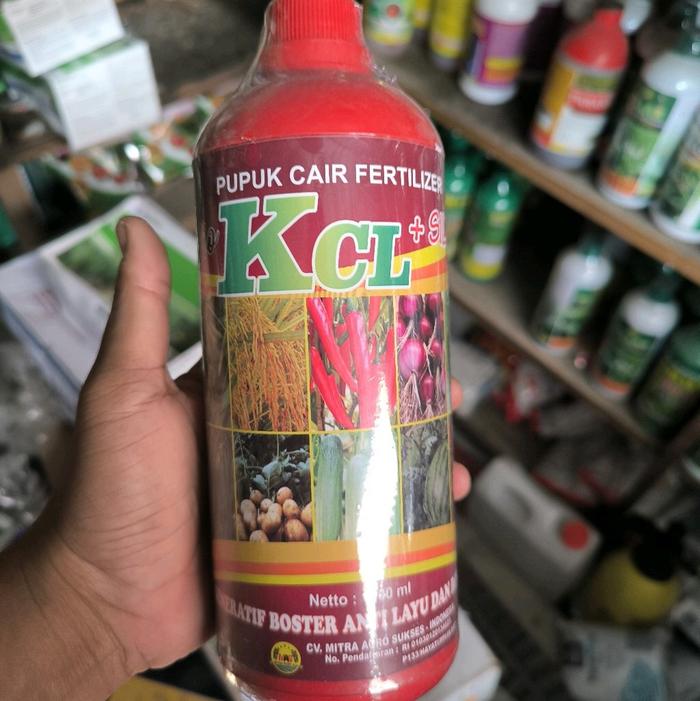 Gambar Pupuk Kcl Cair Bio KCL 1 liter buah plus silika Tanaman Padi - botol bulat dari Mulya tani indonesia_NEW undefined 2 Tokopedia