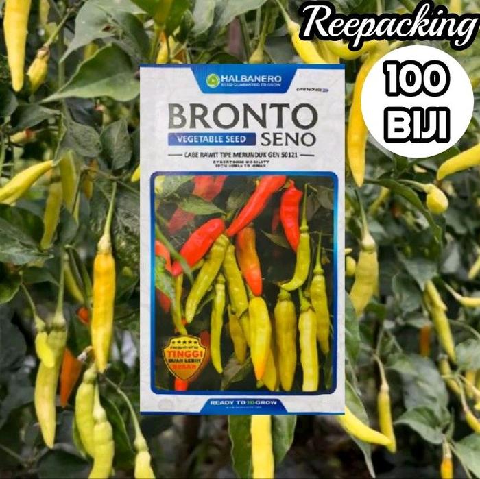 Gambar 100 Biji Cabe Bronto Seno | Benih Cabai Rawit Bronto Seno | Benih Cabe Tahan Virus dari BenihSayuranBerkualitas undefined Tokopedia