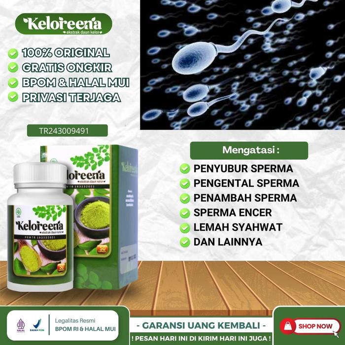 Gambar Penyubur Sperma Mengentalkan Sperma Menyuburkan Sperma Pria Herbal Keloreena Original dari Rino Herbal Shop undefined Tokopedia