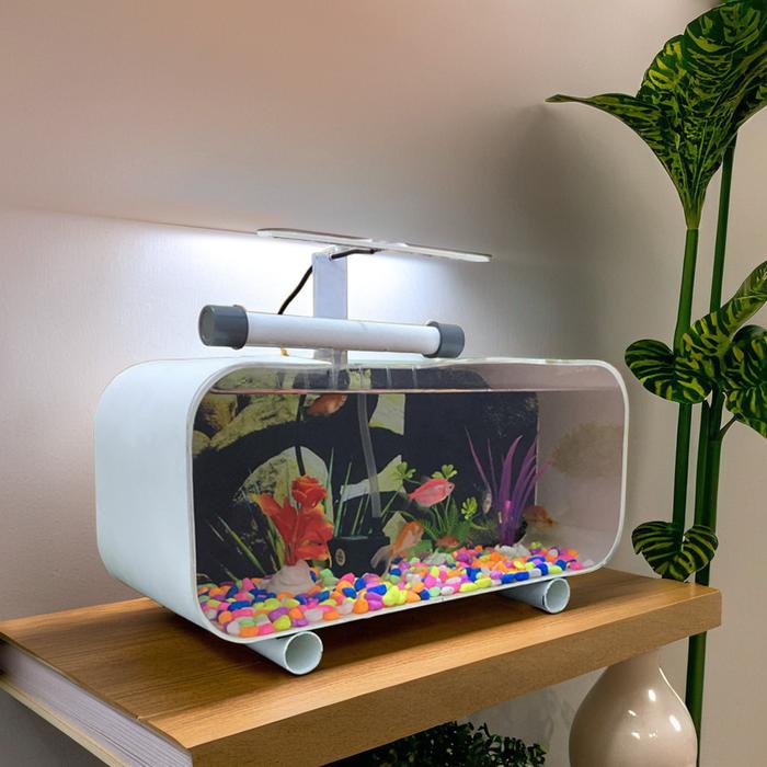 Gambar PROMO AQUARIUM  AKRILIK 35CM PERSEGI AKUARIUM HIAS IKAN CUPANG CHANA GUPPY HIASAN RUMAH AESTHETIC - PUTIH dari ZEN AQUATIC undefined Tokopedia