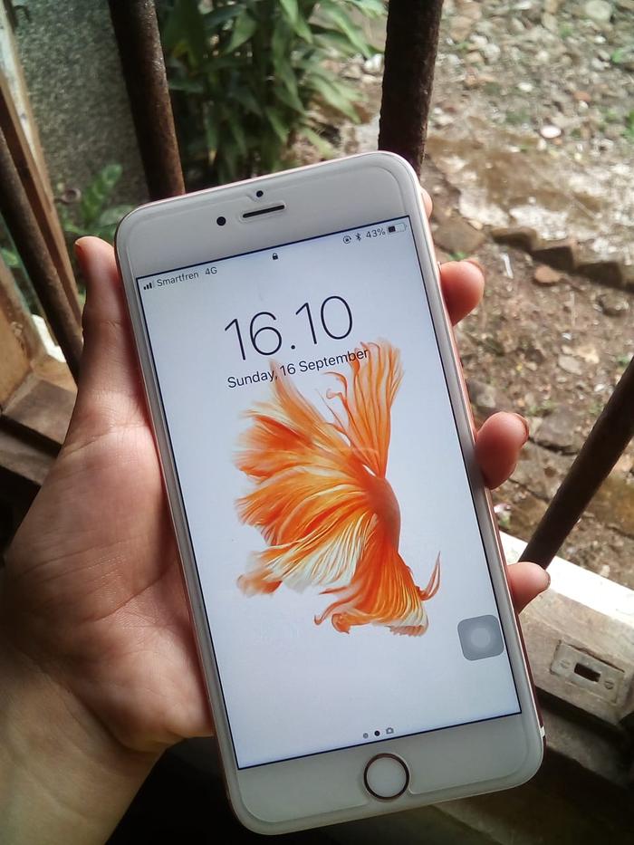 Jual Turun Harga Jual Bu Iphone 6s Plus Rose Gold 16gb Kab Pandeglang Haudy99 Tokopedia