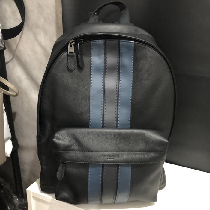 charles backpack with varsity stripe
