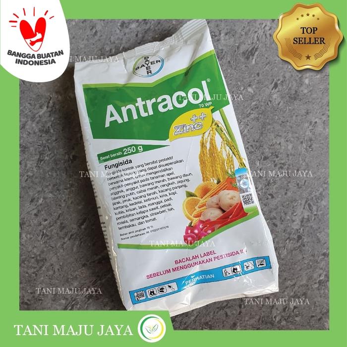 Jual Fungisida Antracol 70wp Zinc 250 Gram Kota Malang Tanimajujaya Tokopedia