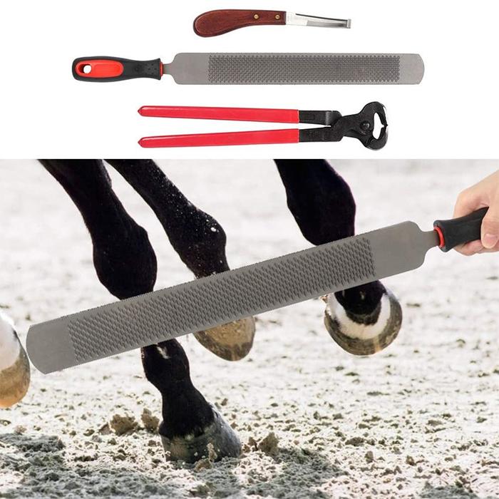 Gambar Sapi 3pcs Farriers Equestrian Horse Hoof Nipper Cutter dari Laris Rame Shopp undefined Tokopedia