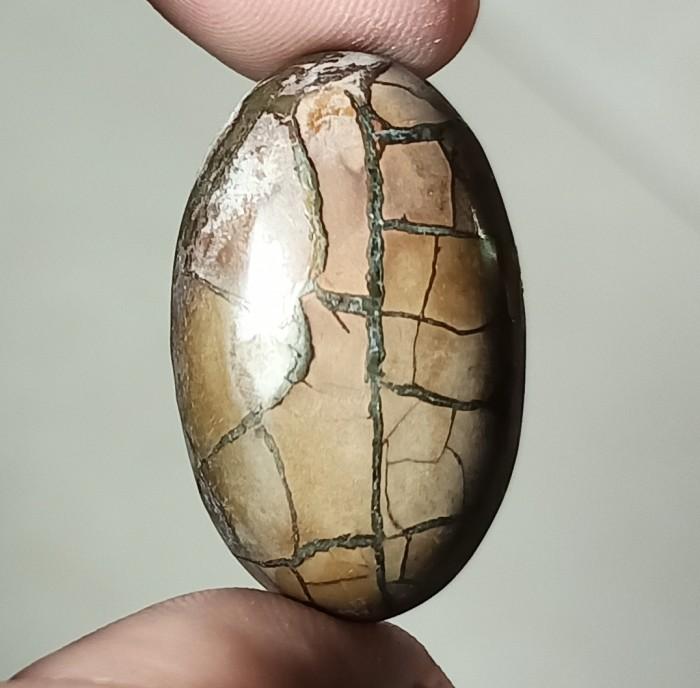 Gambar Natural Batu Akik-Sisik Naga Enrekang Sulawesi Motif Gambar Antik 4 dari Doni Hobigems3 undefined Tokopedia
