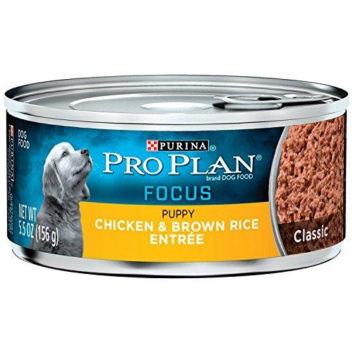 Gambar Pp Class Chk/Rce Puppy 24/5.5Oz by Nestle Purina Petcare dari Pets USA undefined Tokopedia