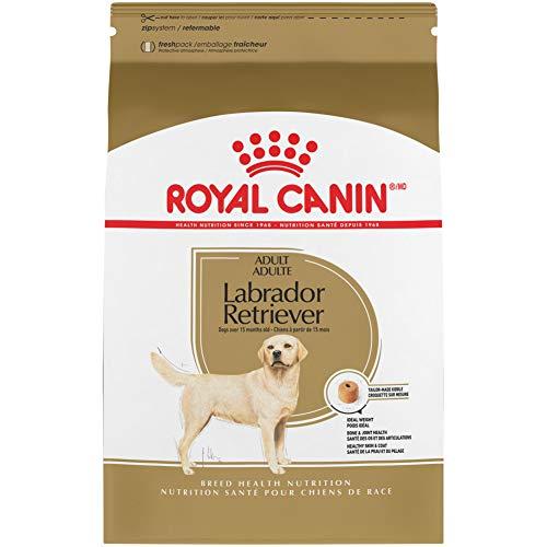 Jual Royal Canin Labrador Retriever Adult Breed Specific Dry Dog