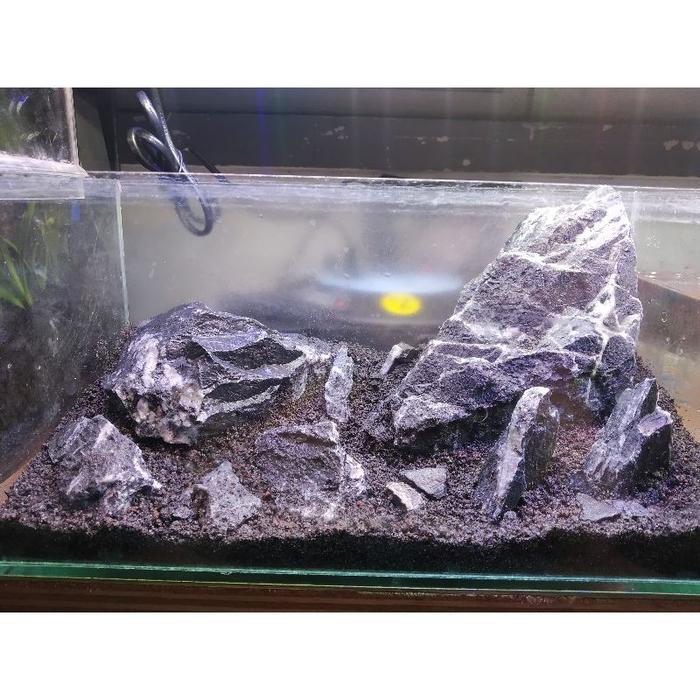 Jual batu kriket cricet aquascape paludarium iwagumi seiryu - Kota Surabaya - STREEET | Tokopedia