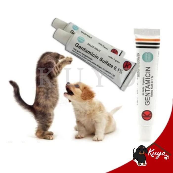 Gambar ORIGINAL Salep Infeksi Luka Anjing Kucing - Obat Antibiotik Hewan dari Pagas Shoop undefined Tokopedia