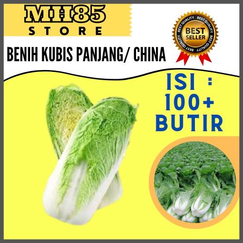 Jual Benih Sayuran Sawi Putih Kubis Cina Panjang Bibit Sayuran Hidroponik Kota Surabaya Cacater Tokopedia