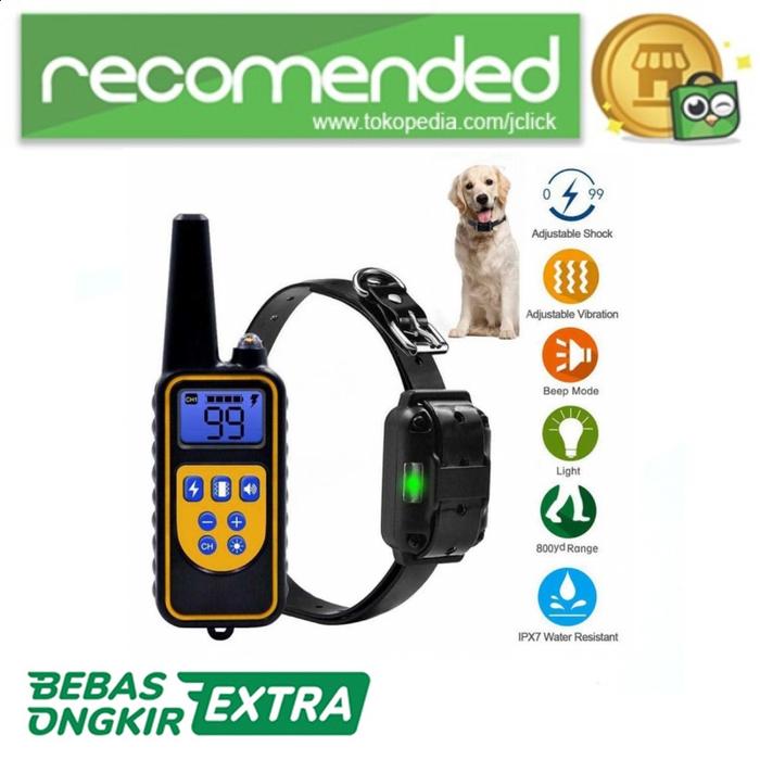 dog training remote control collar