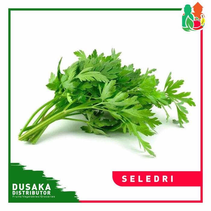 Gambar Seledri segar 500 gram dari Dusaka undefined Tokopedia