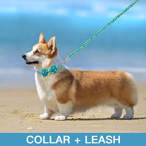 Jual PUPTECK Dog Harness and Leash Set(Medium, Blue) Kota