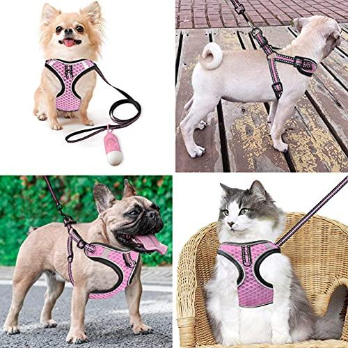 Jual Btromeshy Step-in Dog Harness,Small Dog Harness and Leash Set