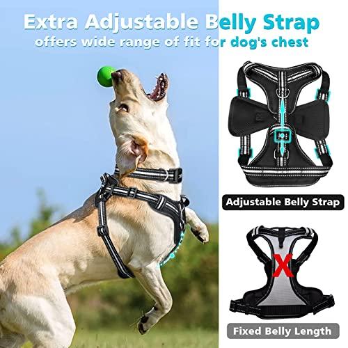 Jual WINSEE No Pull Dog Harness, Step in Dog Harness Kota