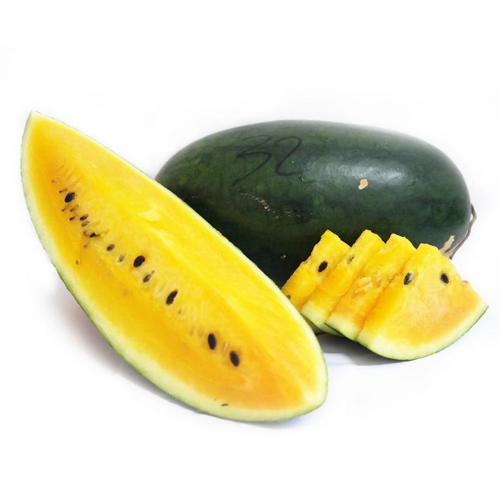 Gambar New Benih Buah Semanka Kuning Lonjong Bibit Buah Semangka Kuning Oval dari Planet Stored undefined Tokopedia