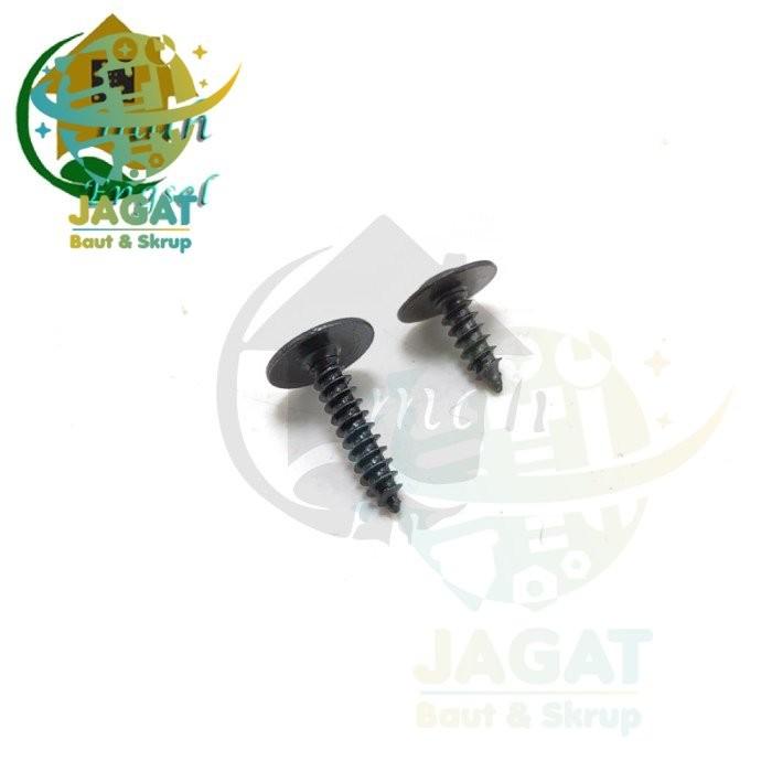 Gambar Imp. Skrup kepala topi diameter 6 dan 8 mm ( 20 pcs ) skrup PH hitam - Hitam, 6x6_mm dari JAGAT BAUT & SKRUP undefined Tokopedia