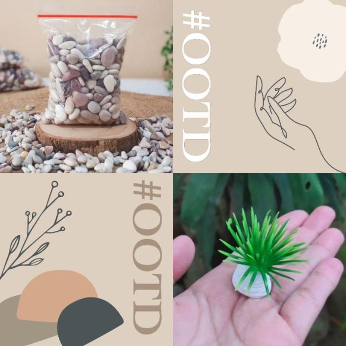 Gambar AQUARIUM MINI KOTAK PERSEGI 12 CM / AKUARIUM CUPANG GUPPY - HIASAN AQUARIUM dari Ayaqilashop undefined Tokopedia