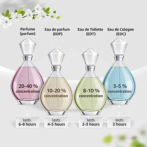 moschino love perfume price