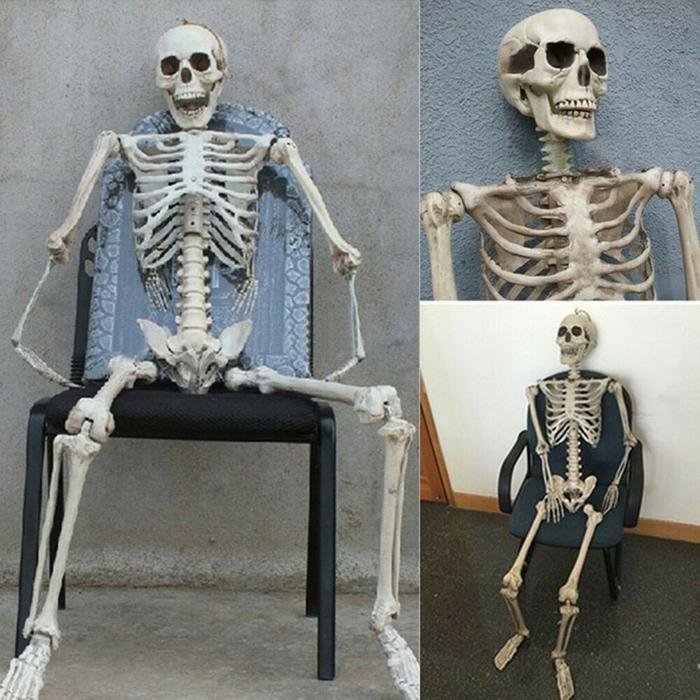 Gambar SUER 1 PC Party Supply Human Skeleton Photography Props Model Bone dari Sullack official undefined Tokopedia