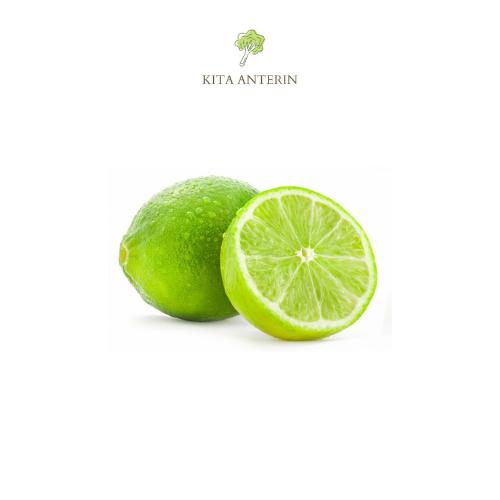 Gambar Jeruk Nipis / Lime - 1/4 kg dari Kita Anterin undefined Tokopedia