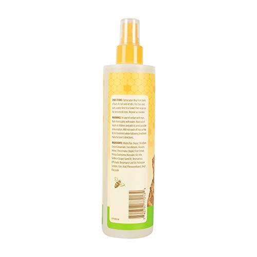 Jual Burts Bees for Dogs Deodorizing Dog Shampoo and Dog