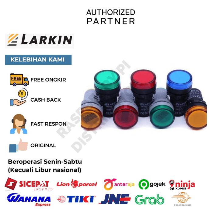 Gambar Larkin AD22DV Pilot Lamp Voltmeter Volt Meter Panel Digital Indicator - Kuning dari Raspberry Pi Distributor undefined Tokopedia