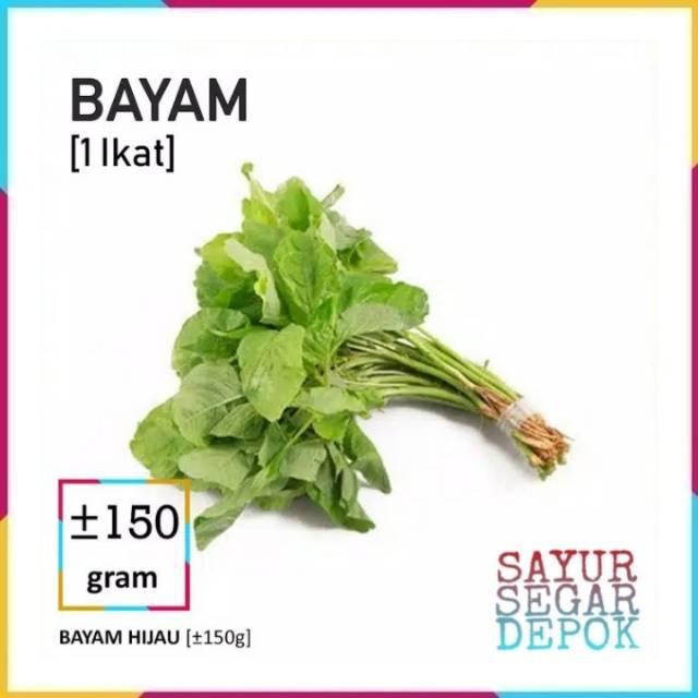 Jual BAYEM SEGAR - Jakarta Pusat - Chord Store | Tokopedia