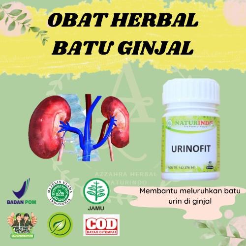 Gambar Obat Ginjal Obat Batu Ginjal Obat Susah Buang Air Kecil Ampuh Alami dari wulami undefined Tokopedia