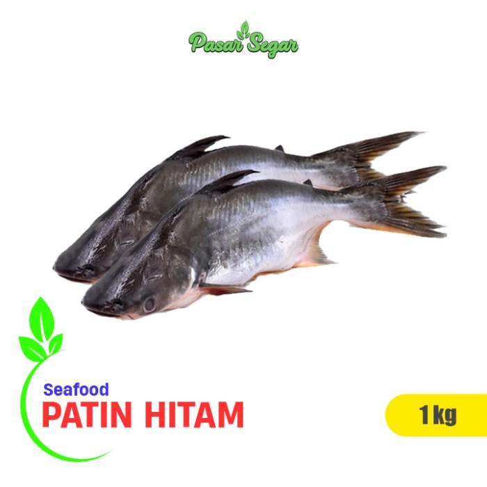 Gambar Ikan Patin Hitam 1 kg dari PASAR SEGAR PASAR MINGGU undefined Tokopedia