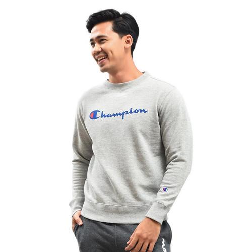 mens champion sweater