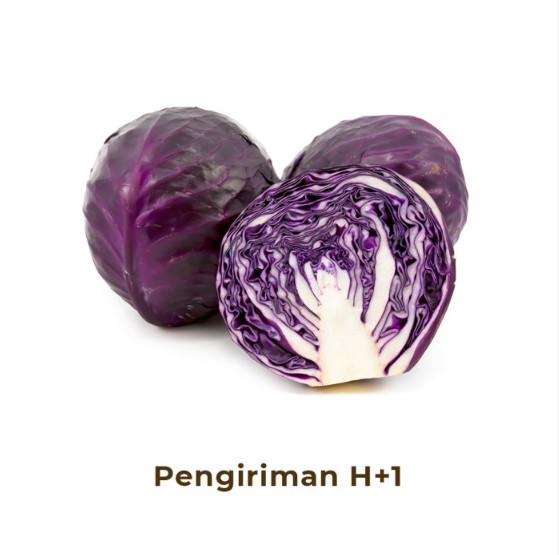 Gambar Kol Ungu Segar - 500gr dari Heimon Food Solo undefined Tokopedia