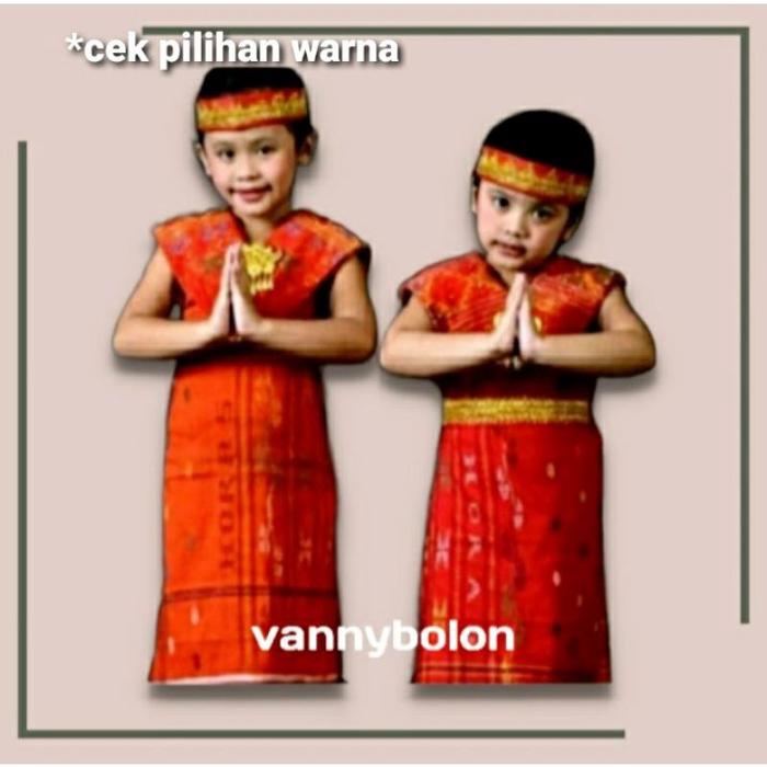 Gambar Pakaian Adat Batak Kostum Baju Adat Anak Perempuan Ulos Batak Toba dari adzhra undefined Tokopedia