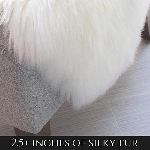 Gambar Super Area Rugs Genuine New Zealand Fluffy-Large 2 x 3 Single Pelt dari Home and Kitchen USA undefined Tokopedia