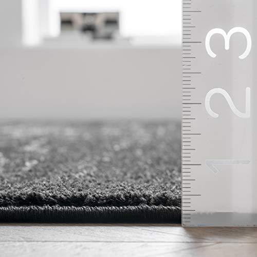Gambar nuLOOM Arlena Vintage Runner Rug, 2 6' x 6, Black dari Home and Kitchen USA undefined Tokopedia