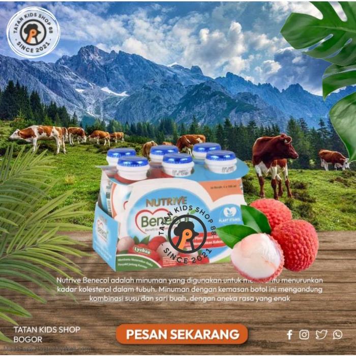 Gambar Nutrive Benecol Kolesterol 6 Botol 100Ml Rasa Leci Suplemen Diet Detox dari dropship12 undefined Tokopedia