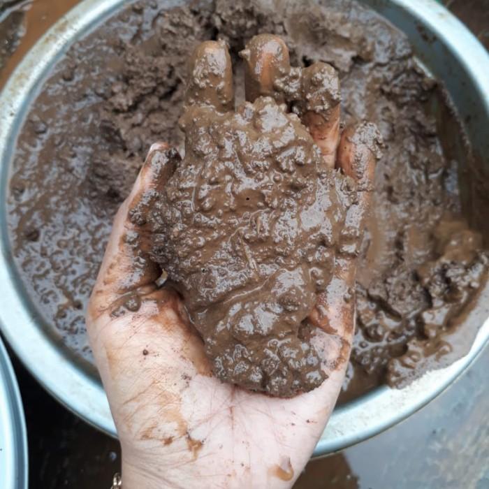 Gambar media tanam teratai air, 1 kg, lumpur lotus subur siap pakai - asli - Berat 5 Kg dari Wangi Lestari Indonesia undefined Tokopedia