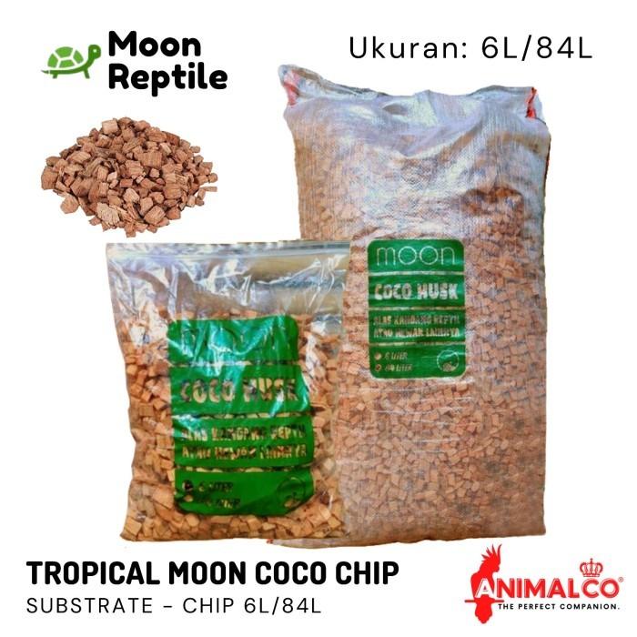 Gambar COCO HUSK COCO CHIP ALAS KANDANG REPTIL REPTILE BEDDING TORTO SULCATA - Moon Coco Chip, 6L dari Animal Co undefined Tokopedia