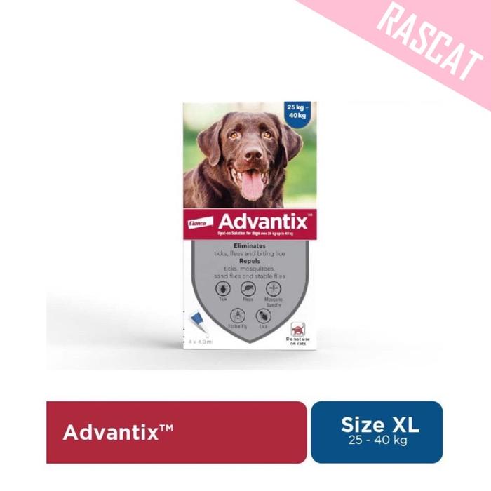 Jual Advantix For Extra Large Dog (Over 25 Kg) Box Kota - Main Image