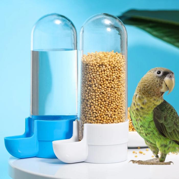 Gambar Bird Water Drinker Feeder Waterer with Clip Pet Bird Supplies dari SARYINDO MALL undefined Tokopedia