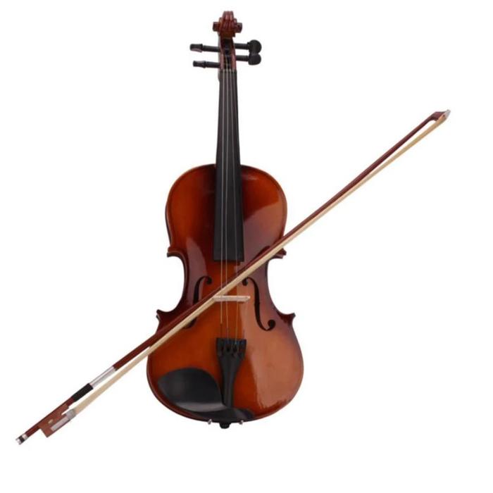 Gambar PA 12 34 44 Violin High Quality Musical Instrument Maple Aco dari Proven Action undefined Tokopedia
