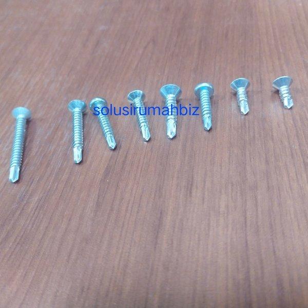 Gambar Perbiji Sekrup Sds Besi Kepala Obeng Pus Plus Skrup Baut Roofing Baja - GEPENG 13MMX8 dari sista567 undefined Tokopedia