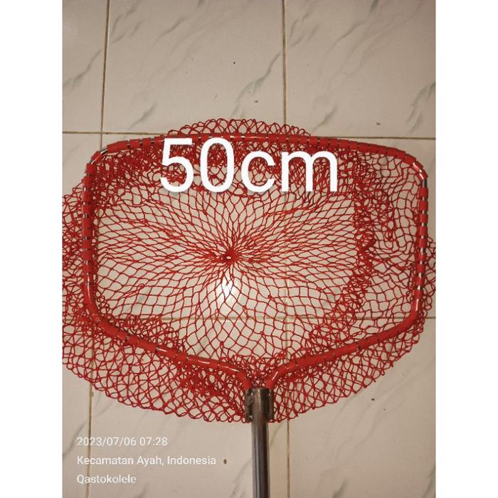 Gambar Serokan Ikan Stainless besar Jaring Nilon gagang panjang Telescopic - Ring kotak 50cm, Gagang 50cm dari qastokolele undefined Tokopedia