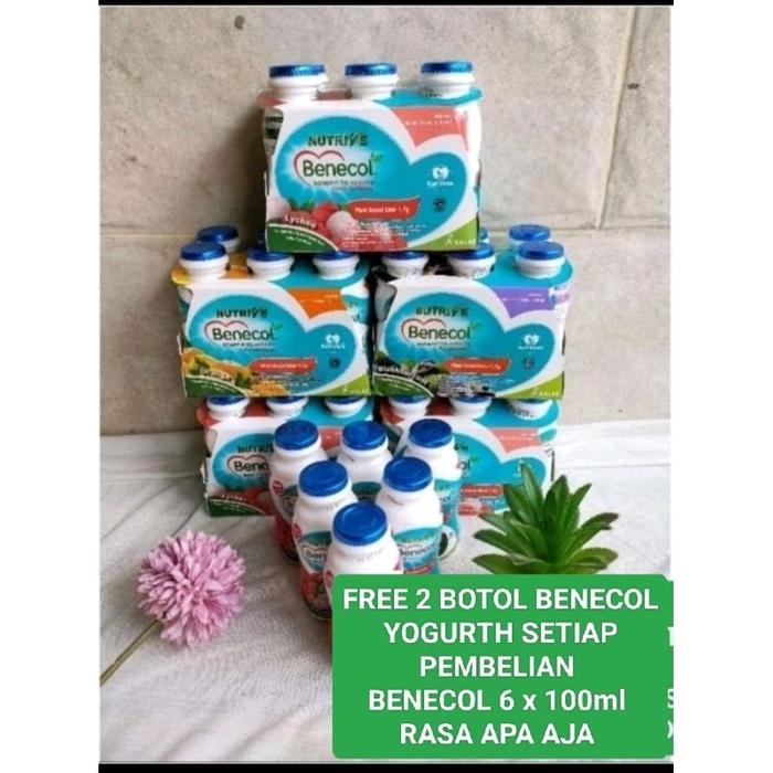 Gambar Sj Nutrive Benecol 6 X 100Ml Free 2 Botol Benecol Yogurth Best dari HOME HOMI undefined Tokopedia