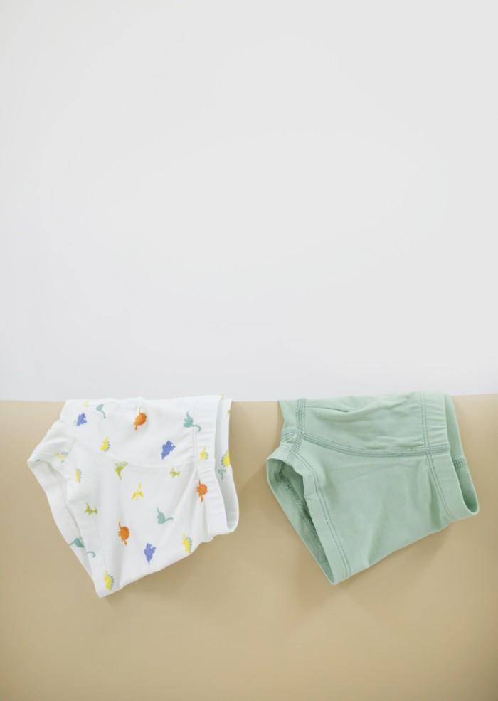 Gambar Boxer Anak TENCEL, Boxer Boy Dino + Sage Green - Dino + Sage, 5-6y dari beligio_id undefined Tokopedia