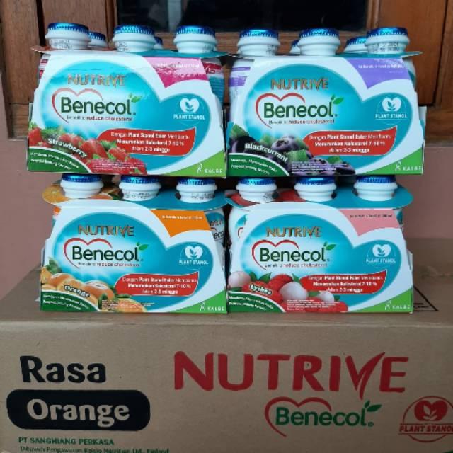 Gambar [AN] NUTRIVE BENECOL 6X100 ML STOK TERBATAS - Blackurant, 6x100 ml dari Toko Gampang Ingats undefined Tokopedia